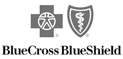 Blue Cross Blue Shield Speaking Engagement